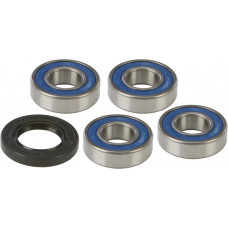 REAR WHEEL BEARING/SEAL KIT