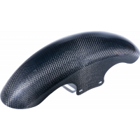 CARBON FIBER SHORTY FENDER FRONT 21