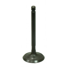 INTAKE VALVE