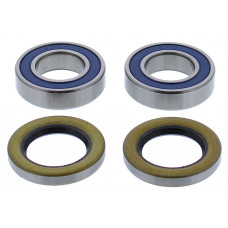 WHEEL BEARING & SEAL KIT