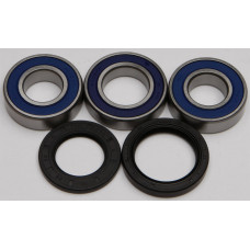 REAR WHEEL BEARING/SEAL KIT