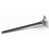 BLACK DIAMOND EXHAUST VALVE