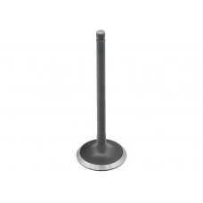 INTAKE VALVE CAN