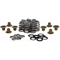 RACING VALVE SPRING KIT .625 LIFT TITANIUM RETAINERS