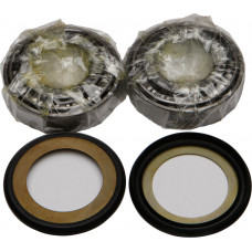 STEERING BEARING/SEAL KIT