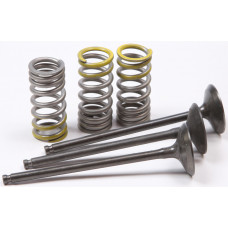 INTAKE VALVE CONVERSION SET TI-STEEL YAM