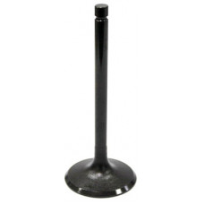 INTAKE VALVE