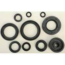 OIL SEAL SET