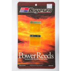 MOTORCYCLE REEDS