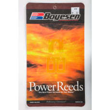 MOTORCYCLE REEDS