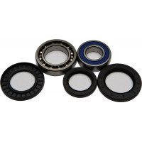 WHEEL BEARING & SEAL KIT