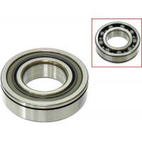 CRANKSHAFT BEARING POL
