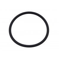 FUEL PUMP SEAL