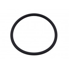 FUEL PUMP SEAL