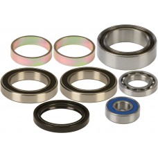 CHAIN CASE BEARING & SEAL KIT
