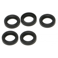 STARTER SHAFT SEAL EVO 5/PK EVO OE#12043