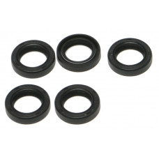 STARTER SHAFT SEAL EVO 5/PK EVO OE#12043
