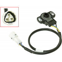 TPS SENSOR POL
