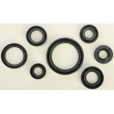 OIL SEAL SET