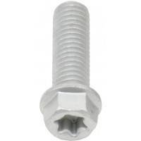 EURO TORX FLANGE BOLT 8X.1.25X25MM 10/PK