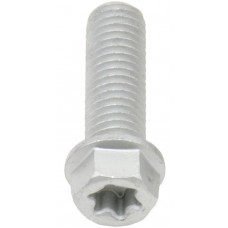 EURO TORX FLANGE BOLT 8X.1.25X25MM 10/PK