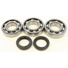 CRANKSHAFT BEARING/SEAL KIT