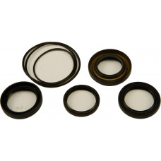 DIFFERENTIAL SEAL KIT