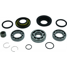REAR DIFFERENTIAL BEARING AND SEAL KIT