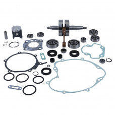 COMPLETE ENGINE REBUILD KIT KAW/SUZ