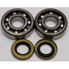 CRANKSHAFT BEARING/SEAL KIT