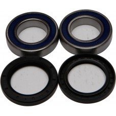 WHEEL BEARING & SEAL KIT