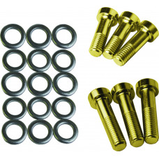 PIVOT BOLT KIT SKI-DOO P-DRIVE S/M