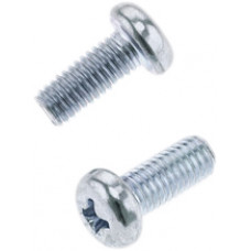 PAN HEAD PHILLIPS SCREW 5X0.8X12MM 10/PK