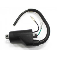 ATV IGNITION COIL