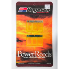 MOTORCYCLE REEDS