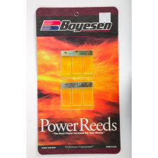 MOTORCYCLE REEDS