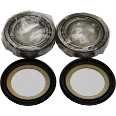 STEERING BEARING/SEAL KIT