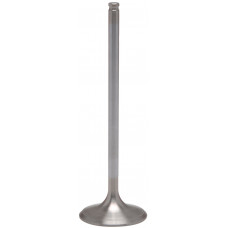 WHITE DIAMOND INTAKE VALVE