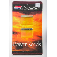 MOTORCYCLE REEDS