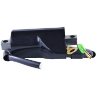 EXTERNAL IGNITION COIL EXTERNAL IGNITION COIL