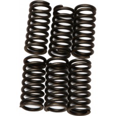 CLUTCH SPRINGS CSK80