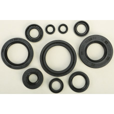 OIL SEAL SET