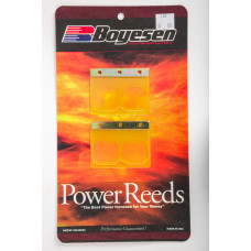 MOTORCYCLE REEDS