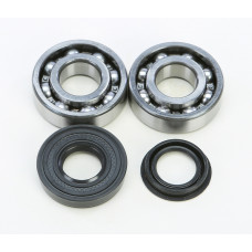 CRANKSHAFT BEARING/SEAL KIT