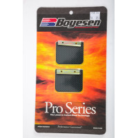 MOTORCYCLE PRO REEDS