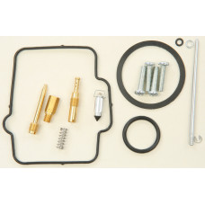 BIKE CARBURETOR REBUILD KIT