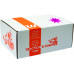 GRAND MASTER KIT STUDS/ BACKERS/ NUTS 90/PK