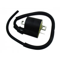 ATV IGNITION COIL