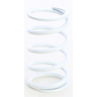 PRIMARY CLUTCH SPRING WHITE
