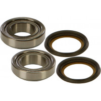 STEERING BEARING/SEAL KIT